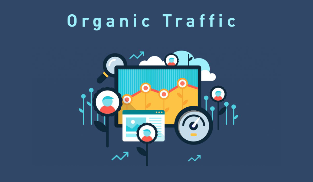  Organic Traffic :Understanding Different Types of Traffic