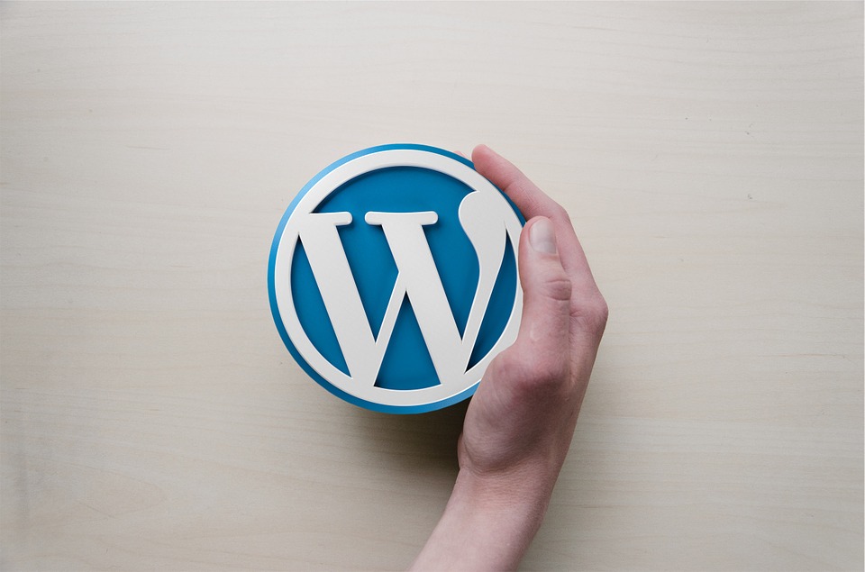 Essential Resources for publishers: wordpress