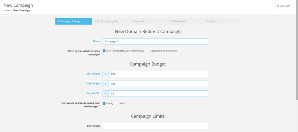 Domain Redirect Campaign Budget Setup