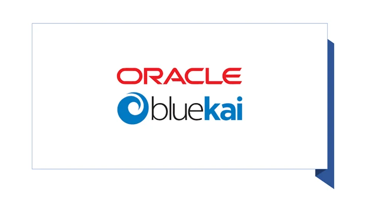 data management platforms in advertising : bluekai